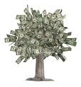 pengar på träd